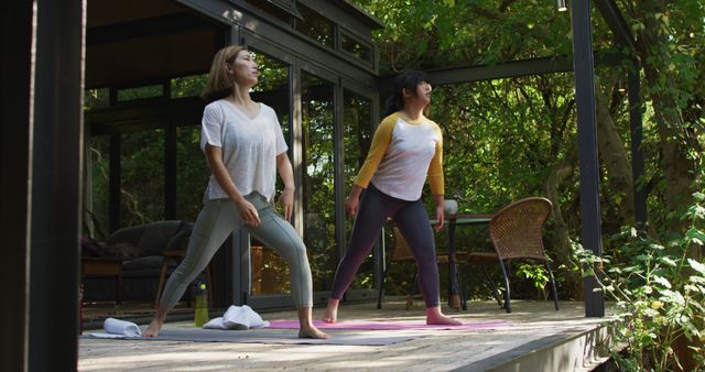 Women Practicing Yoga On Deck In Forest - Download Free Stock Images Pikwizard.com