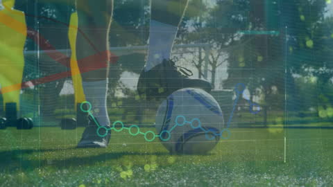 Dynamic Soccer Training with Financial Growth Overlay
