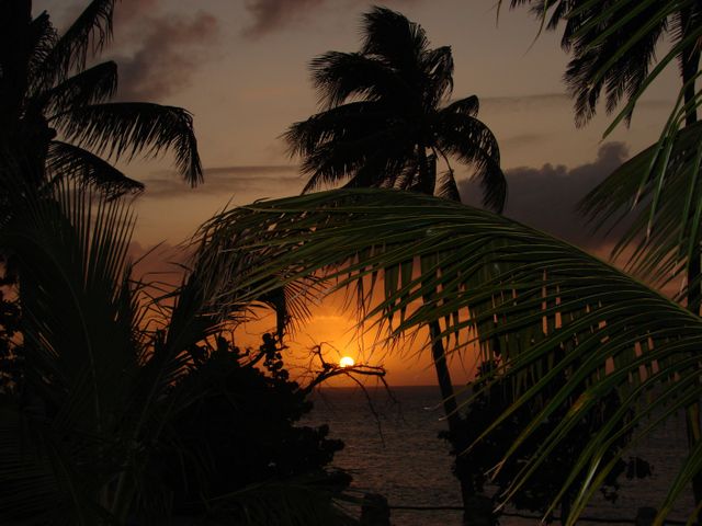 This visual showcases a serene tropical beach sunset. Framed by silhouettes of palm trees, it captures the captivating beauty of a dimming sky, creating a tranquil mood. Can be used for travel promotions, vacation advertising, relaxation and wellness themes, desktop backgrounds, and social media content inviting viewers to unwind.