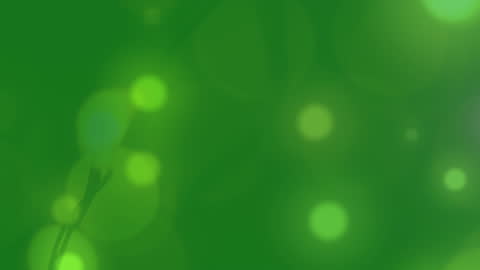 Glowing Yellow Bokeh on Green Background for Digital Design