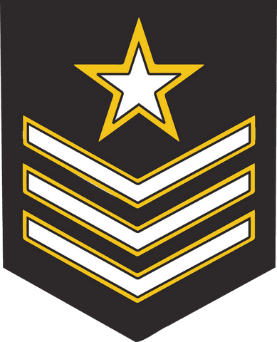 flat design insignia with star and chevrons on transparent background - Download Free Stock Videos Pikwizard.com