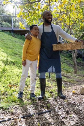 African american father and son harvesting lemons under lemon tree, smiling and bonding