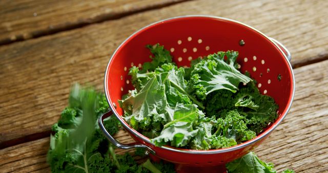 Fresh kale leaves are rinsed and placed in a red colander on a rustic wooden table, with copy space. Kale is a nutritious leafy green vegetable often used in salads and healthy cooking.