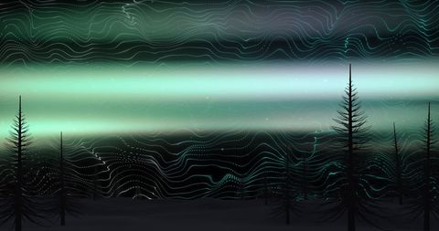 Mystical Winter Forest with Glowing Aurora Borealis