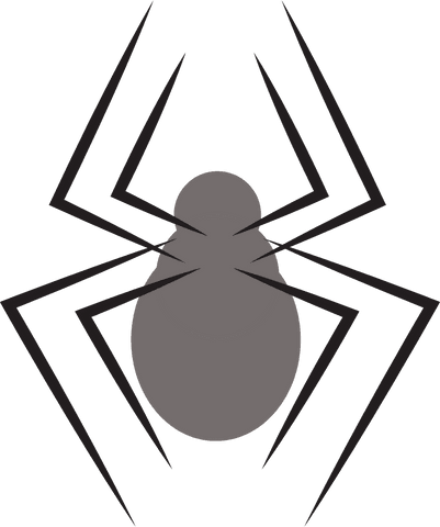 grey spider vector illustration on transparent background - Download Free Stock Videos Pikwizard.com
