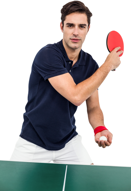 Confident Male Athlete Playing Table Tennis Holding Paddle and Ball on Transparent Background - Download Free Stock Videos Pikwizard.com