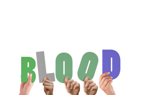 transparent diverse hands holding blood text on white - Download Free Stock Videos Pikwizard.com