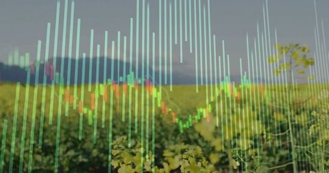 Canola field with financial data overlay showing agribusiness trends and crop analysis