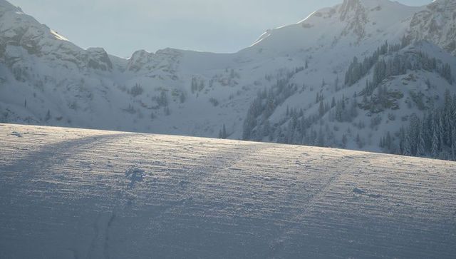 Glittering snow slope catching low sun in alpine valley with pine shadows and ski tracks