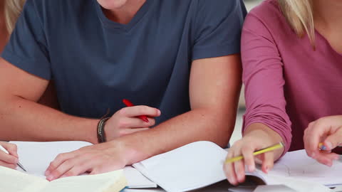 Students Collaborating on Homework