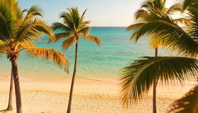 Turquoise ocean and golden sand framed by sunlit palm trees tropical beach paradise at sunrise