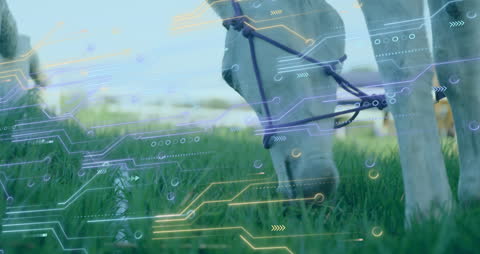 Digital Innovation in Agriculture with Technology and Nature