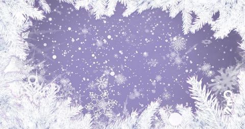 Elegant Winter Wonderland with Snowfall and Frosted Fir Branches