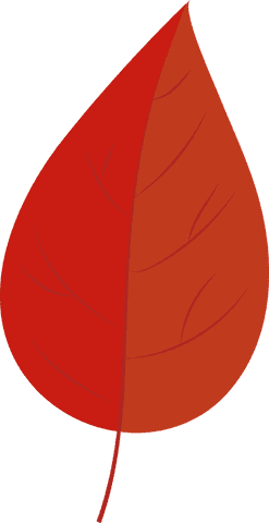 Two-Tone Red Leaf on Transparent Background for Nature Illustration - Download Free Stock Videos Pikwizard.com