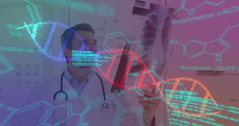 Doctor Analyzing Medical X-Ray with Digital DNA Overlay - Download Free Stock Images Pikwizard.com