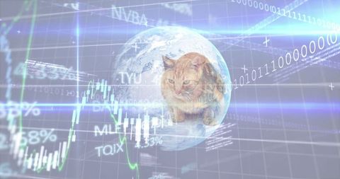 Business Chart over Cat and Global Network - Download Free Stock Images Pikwizard.com