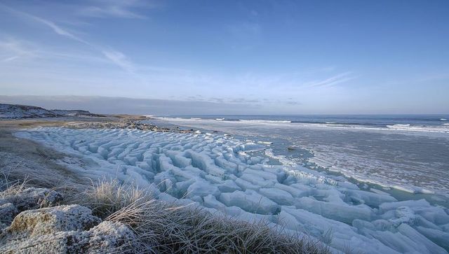 Winter coast with broken sea ice floes and frosted dune grasses under clear blue sky
