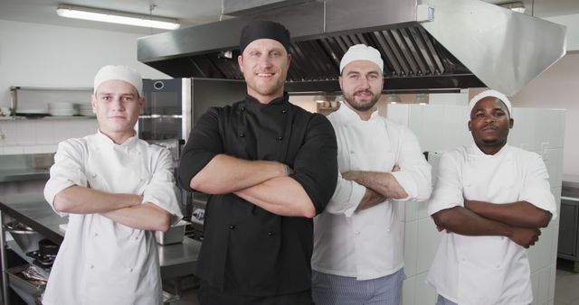 Confident Team of Chefs Working in Commercial Kitchen - Download Free Stock Images Pikwizard.com