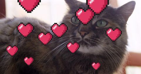 Gazing long-haired tabby cat with pixel hearts and glowing green eyes, backlit interior