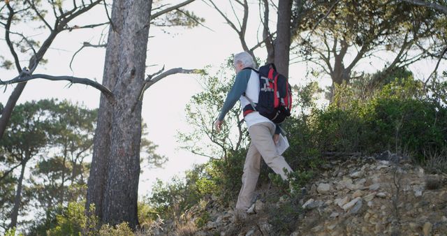 Caucasian man hikes through a forested area. His adventure in the great outdoors showcases a healthy, active lifestyle.