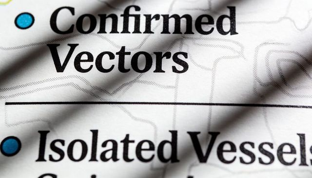 Showing confirmed vectors and isolated vessels headings on print with diagonal shadows