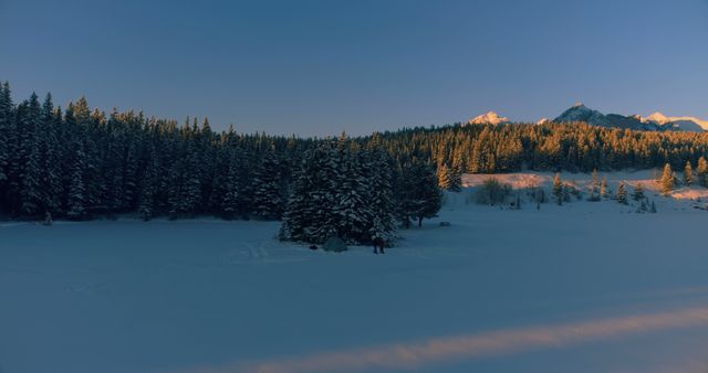 A serene winter landscape showcases snow-covered trees and a mountain peak bathed in the warm glow of sunrise or sunset. The tranquil scene captures the beauty of a cold, peaceful winter's day in a forested area.