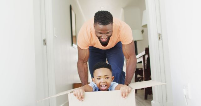 Father Playing with Young Son Inside Moving Box in Bright Home - Download Free Stock Images Pikwizard.com