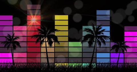 Vibrant Palm Tree Silhouettes with Colorful Music Equalizer Bars