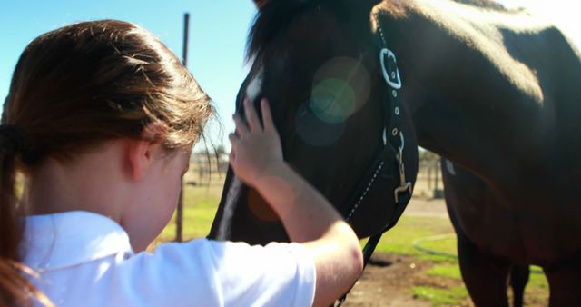 Young Girl Petting Horse at Ranch - Download Free Stock Images Pikwizard.com