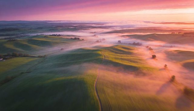 Misty Sunrise Illuminating Rolling Green Hills and Tractor Tracks