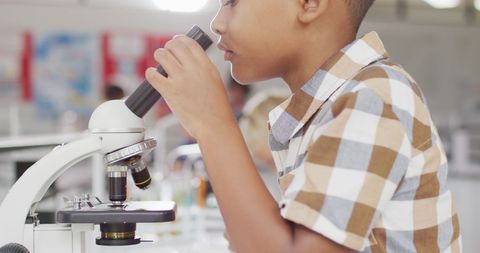 Young Student Examining Microscope in Science Class - Download Free Stock Images Pikwizard.com