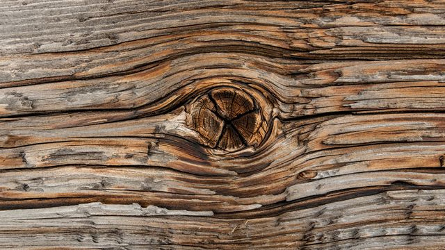 Detailed close-up showing the intricate texture of weathered wood with prominent knot and grain patterns. Ideal for use in design projects, background images for websites, print materials, or presentations related to nature, craftsmanship, and rustic themes.