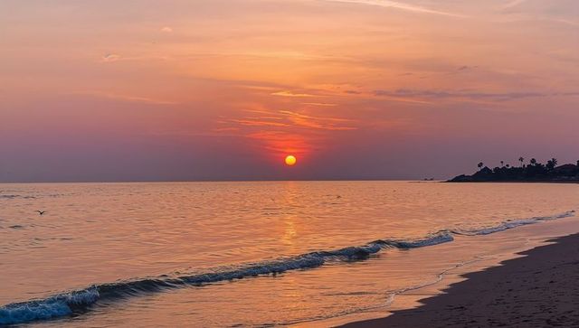 Glowing Sun Sinking Over Calm Shoreline With Silhouetted Palms and Gentle Wave Reflections