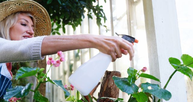 Mature woman spraying water with hand sprayer on plants in her greenhouse