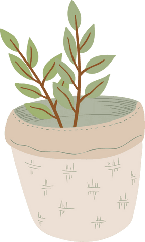 Elegant planter illustration on transparent background