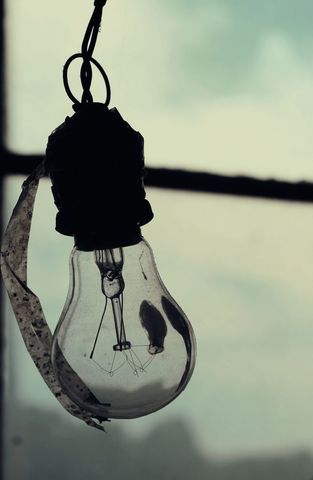 Broken Light Bulb with Dead Bug Hanging in Abandoned Building - Download Free Stock Images Pikwizard.com