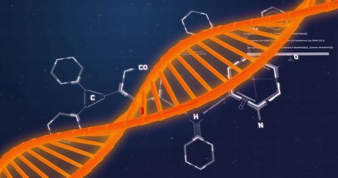 DNA Strand With Chemical Formula Digital Interface Concept - Download Free Stock Images Pikwizard.com