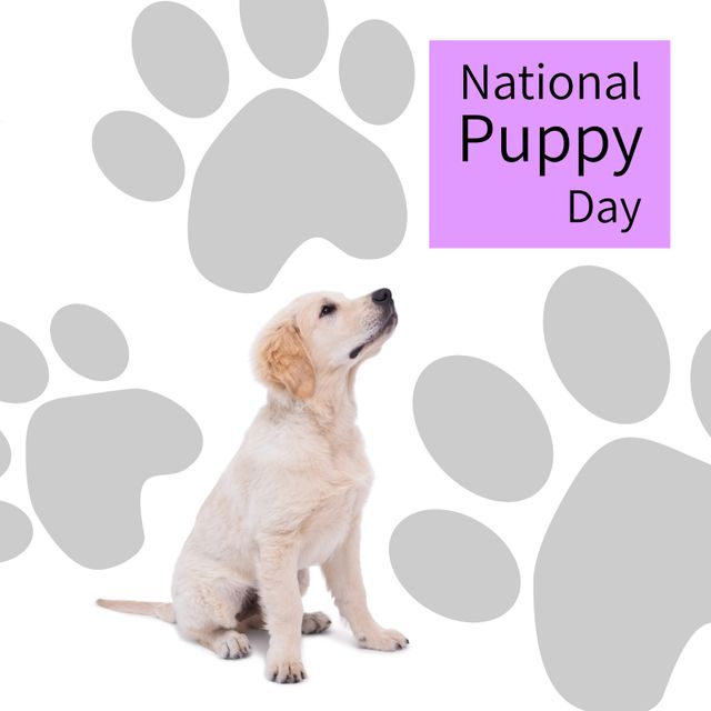Composition of national puppy day text over dog. National puppy day and celebration concept digitally generated image.