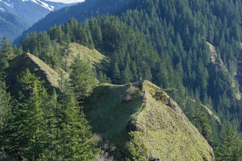 Lush Mountain Ridge in Evergreen Forest - Download Free Stock Images Pikwizard.com