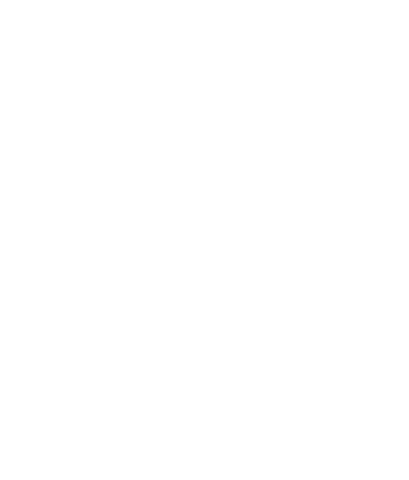 hello summer holidays text with palm tree illustration transparent - Download Free Stock Videos Pikwizard.com