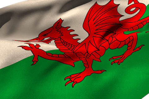 welsh dragon flag with ripple texture on transparent background - Download Free Stock Videos Pikwizard.com