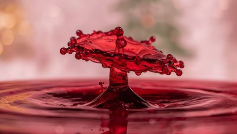 High-speed crimson splash forming mushroom crown from red liquid with satellite droplets