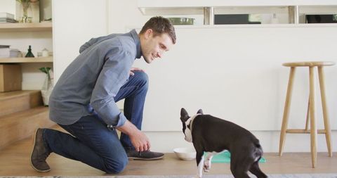 Man Feeding and Training Dog in Modern Home Interior - Download Free Stock Images Pikwizard.com
