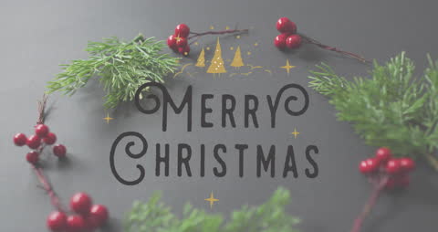 Christmas Greeting with Ornamental Trees and Berry Sprigs Animation