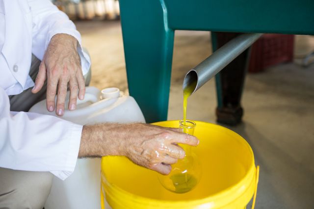Technician examining olive oil produced from machine in factory