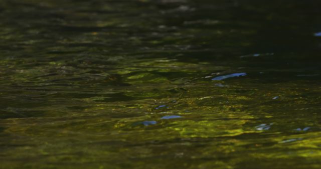 Sunlight glistens on smooth, rippling river water creating a relaxing, serene atmosphere. The green hues reflect nature's beauty. Useful for backgrounds, nature-themed projects, environmental campaigns, or meditation visuals.