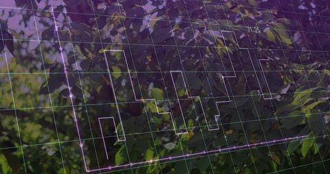 Sunlit foliage blending with cyan grid and purple stepped line data visualization 71.25