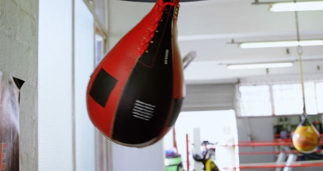 Red and black speed bag hanging in a boxing gym ideal for fitness, training, or fighting-related content. Suitable for depicting athletic environments, training facilities, or exercise routines.