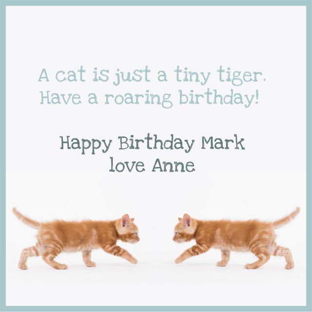 Playful Kittens and Personalized Birthday Wishes Card - Download Free Stock Templates Pikwizard.com