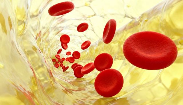 Streaming red blood cells flowing through plasma-filled vessel lumen medical illustration